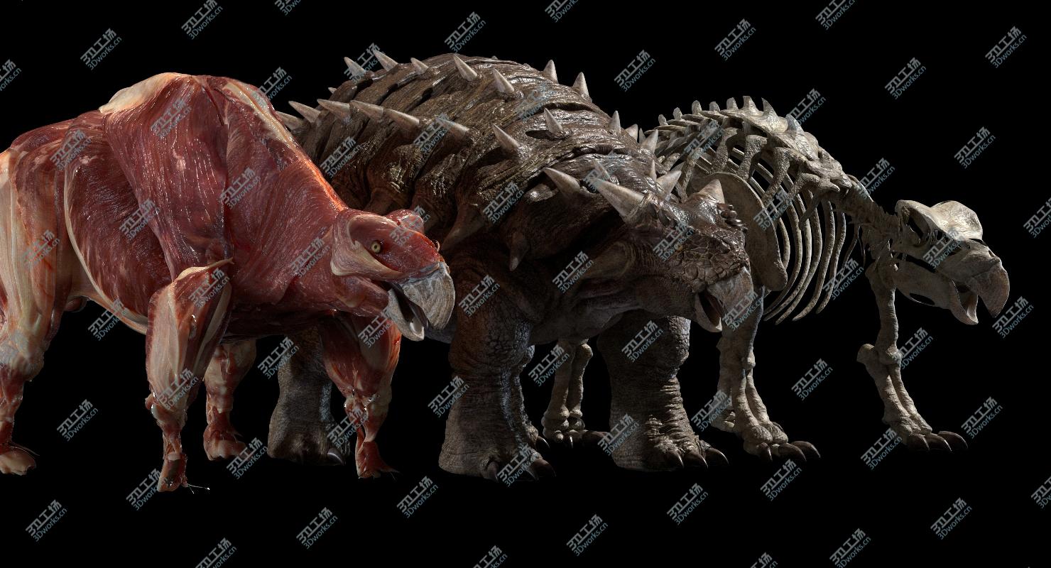 images/goods_img/20210319/Ankylosaurus Anatomy 3D model/5.jpg